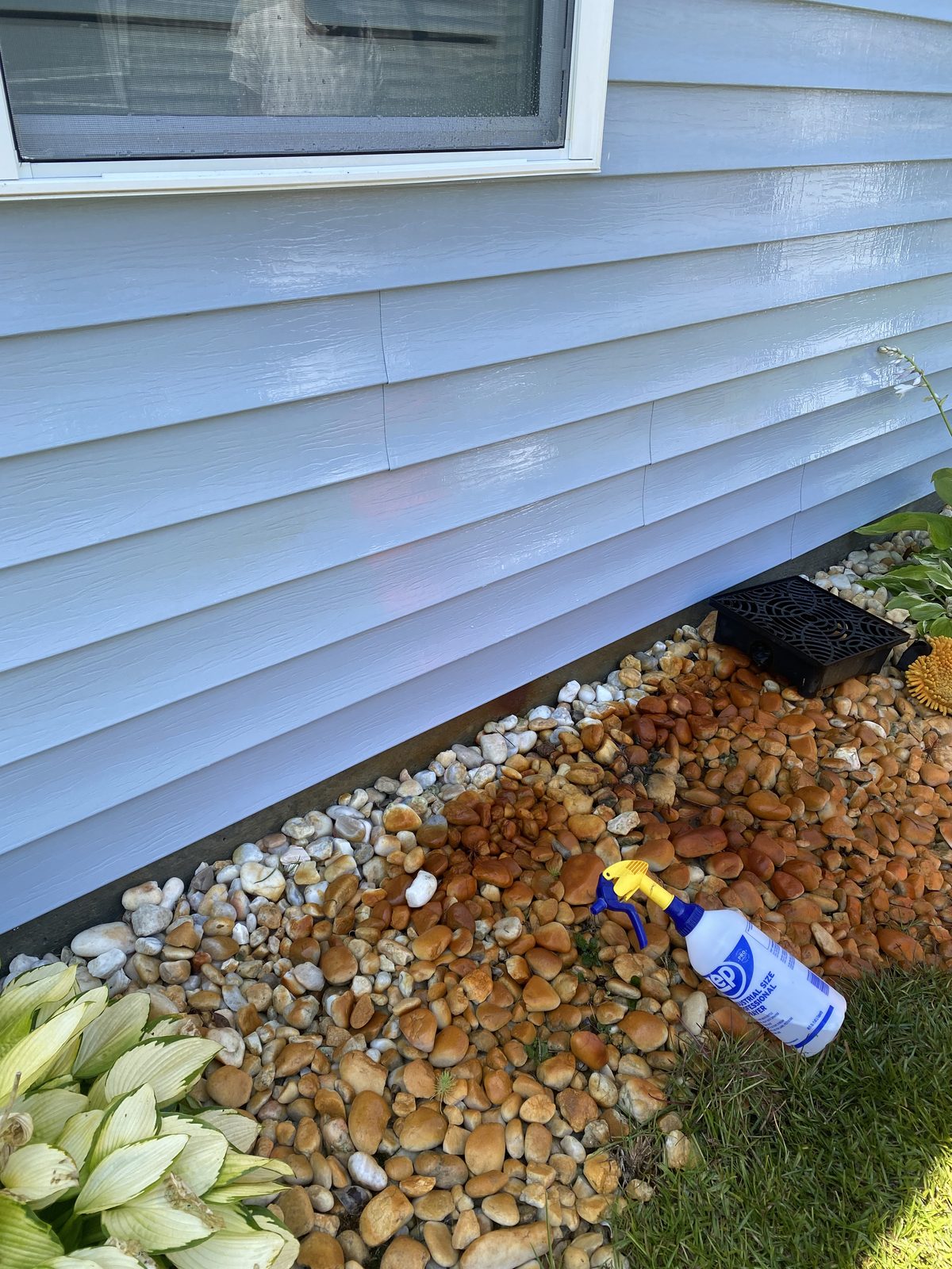 After house siding cleaning project 5