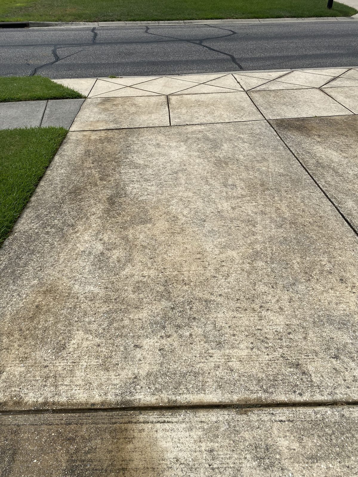 Before concrete driveway cleaning project 6